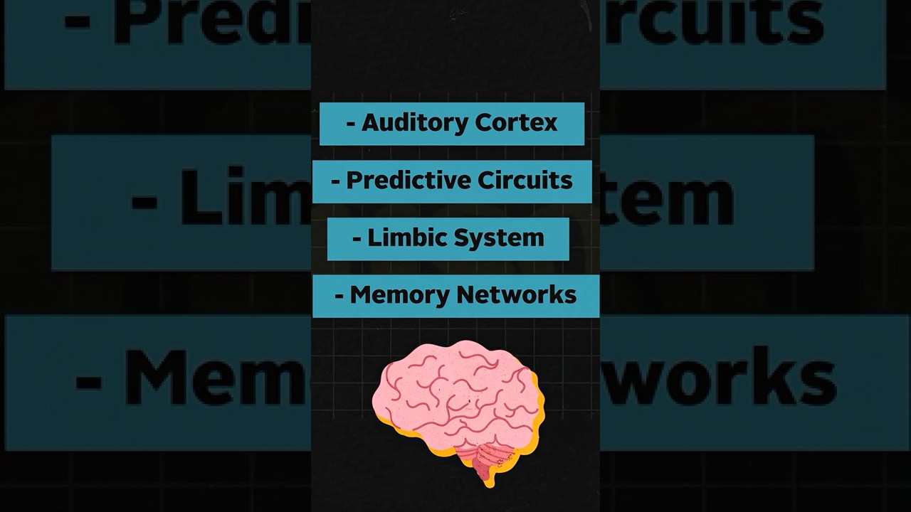 Why Music Instantly Brings Back Memories 