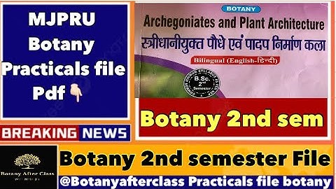 How to make botany 2nd semester practical file /  mjpru 2nd सेमेस्टर की फाइल कैसे बनाये ? /file pdf