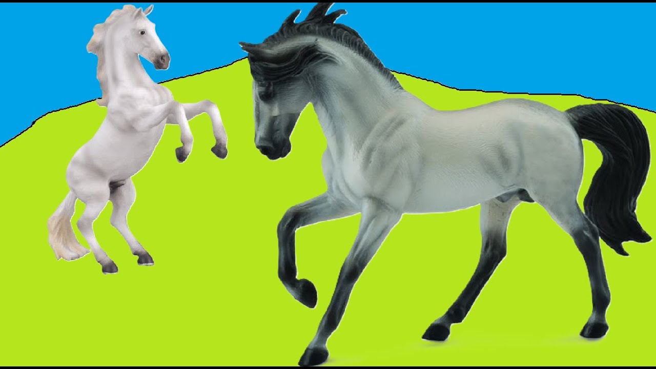 SCHLEICH//Divocí koně//film