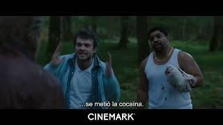 Oso Intoxicado | Trailer Cinemark