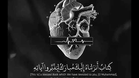 كتاب أنزلناه إليك مبارك ليدبروا آياته * اسلام صبحي Islam  Sobhi * حالات واتس أب دينية(2)