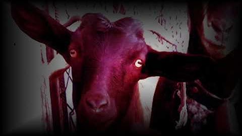 Evil Goat