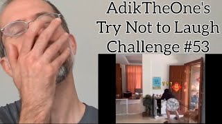 Try Not to Laugh #3 | AdikTheOne's Try Not to Laugh Challenge #53.