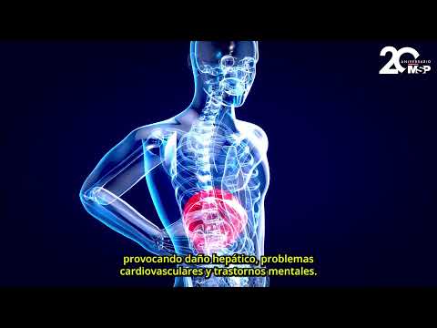 Cómo Actúa El Alcohol En El Cuerpo Cuando Nos Emborrachamos