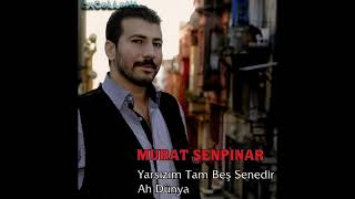 Murat Şenpınar - Engel Resimi