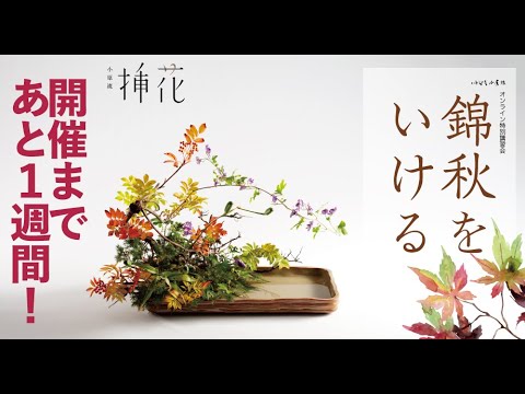定本 小原流様式集成　第二分冊 写景挿花・夏 秋 新版 小原流 様式集成 本 小原規容子 生け花 写景盛花 色彩盛花