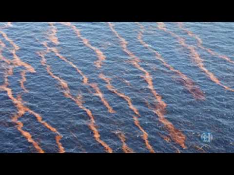 Scientists: Oil spill may affect South Florida