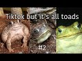 Tiktok but it’s all toads #2