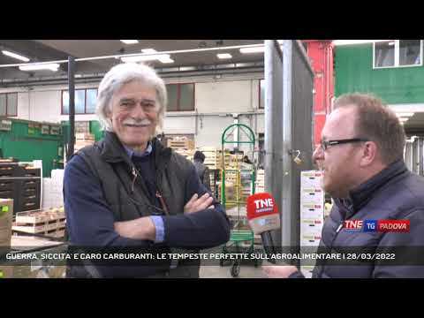 GUERRA, SICCITA' E CARO CARBURANTI: LE TEMPESTE PERFETTE SULL'AGROALIMENTARE | 28/03/2022