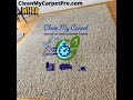 Rug Spa Services-CleanMyCarpet- San Francisco Bay Area