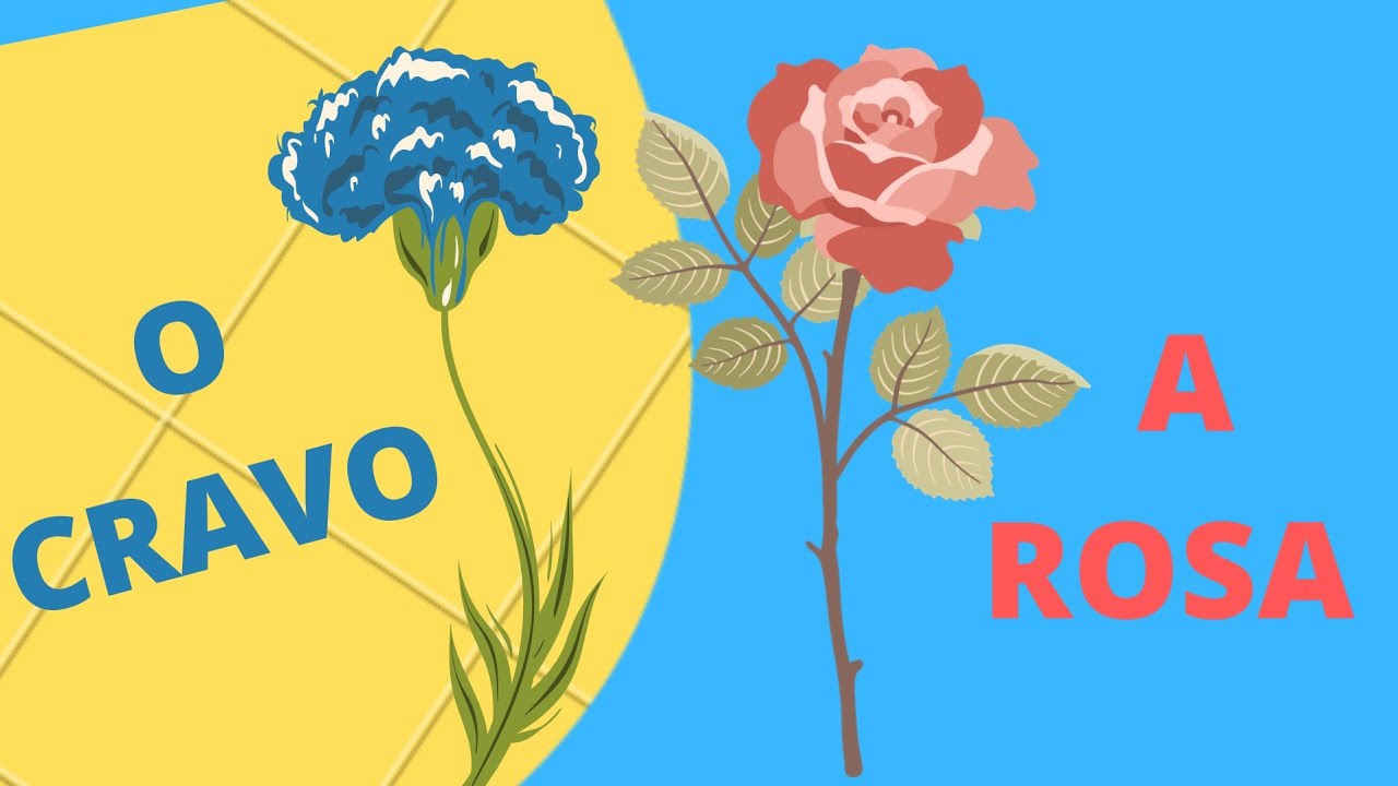 Apresentação Infantil - Música O CRAVO E A ROSA - YouTube