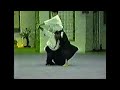 Aikido incredible strong techniques from chiba sensei