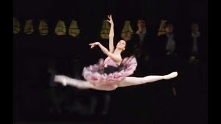 Renata Shakirova - Bridesmaid Don Quixote 2016