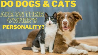 The Personality Connection: Dogs and Cats Mirror Their Owners by Adventurezoo 223 views 1 month ago 6 minutes, 12 seconds