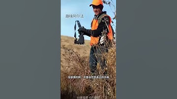 豪猪和刺猬哪个刺厉害？豪猪刺会射出来吗？