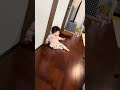 くるくるぴょんぴょんする妻👧