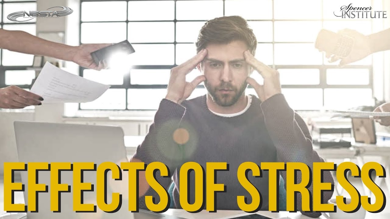 Effects of Stress | Stress Management Coaching