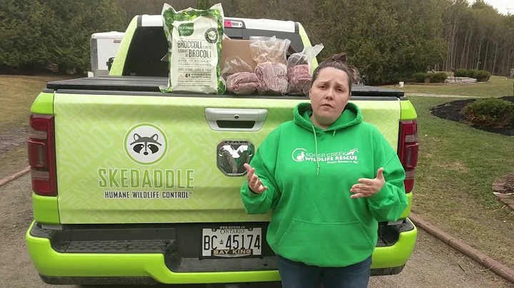 Skedaddle donates to Soper Creek Wildlife Rescue