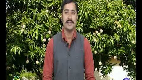 VCP-std8-sem2-Unit4-Epi-4(48)-Act3-14022017