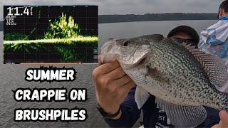 Summer Crappie On Brushpiles w/ Livescope!!