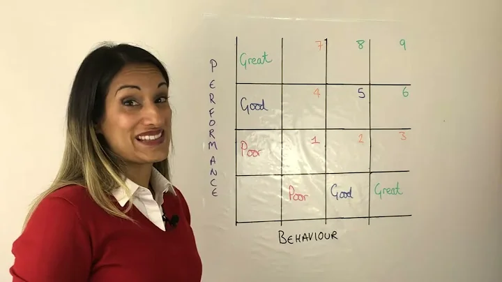 The performance behaviour matrix: the best tool for strategically growing excellence in your team