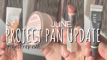 JUNE PROJECT PAN UPDATE | this project needs a refresh! | 2022