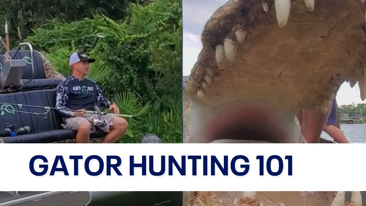 The Ultimate Guide to Alligator Hunting Seasons: Tips, Gear, and