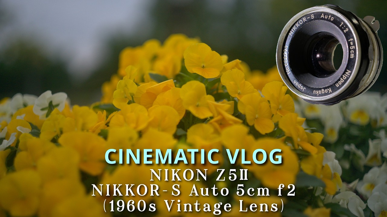 Z5Ⅱ】4K Video｜NIKKOR-S Auto 5cm f2 (1960s)｜Grandfather's