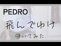 PEDRO/飛んでゆけ【弾いてみた】【Bass Cover】