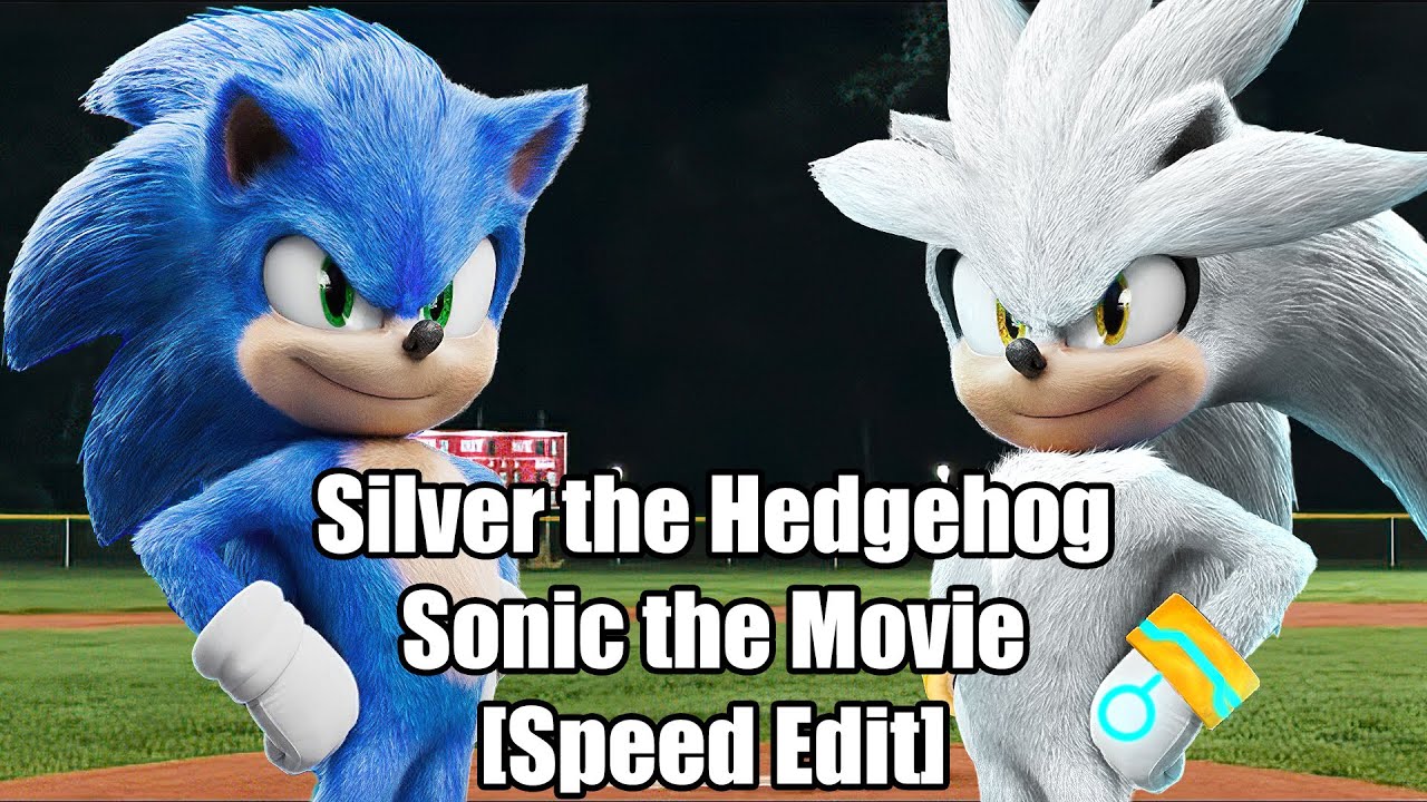 ChristianX2099 on X: Silver the Hedgehog - Sonic The Movie +