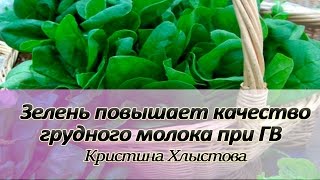 Зелень повышает качество и количество грудного молока при ГВ | Кристина Хлыстова Зелень повышает качество и количество грудного молока при ГВ | Кристина Хлыстова