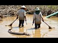 Farmers use Kubota water pump to catch fish#famer #tractor