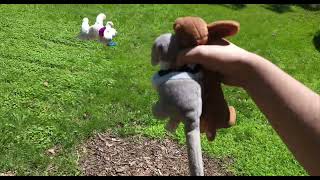 New Scene for When a Character Defeats Dixie the Dog, Kicks Her, or Something Else