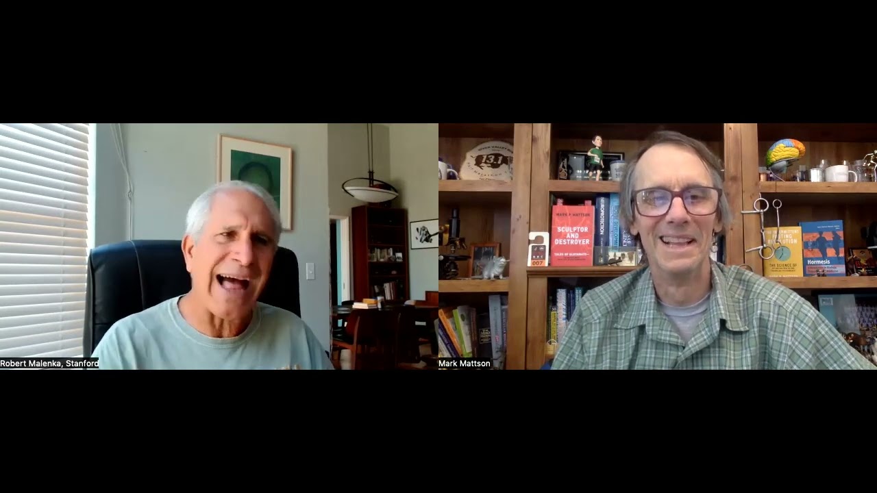Pondering Prosocial Behavior, MDMA, Empathy, and Food Addiction with Robert Malenka