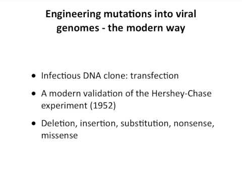 Viral genetics