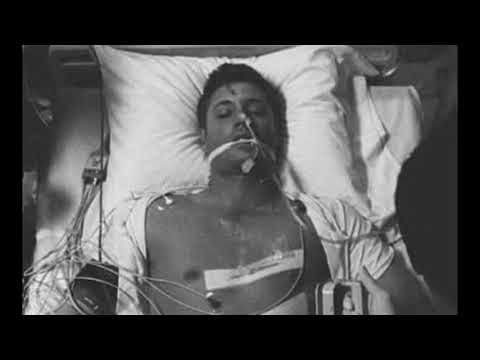 أجمل شعر عن الحباب