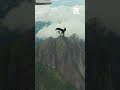 Pilot Spots Hidden Amazon Tribe From the Sky  Why Do They Avoid the Outside World