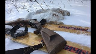 ЗАЙЦЫ, ПОСЛЕДНИЙ БОЙ!!! Закрытие охоты в Саратовской области 2019. Hare hunting in russia/ ЗАЙЦЫ, ПОСЛЕДНИЙ БОЙ!!! Закрытие охоты в Саратовской области 2019. Hare hunting in russia/