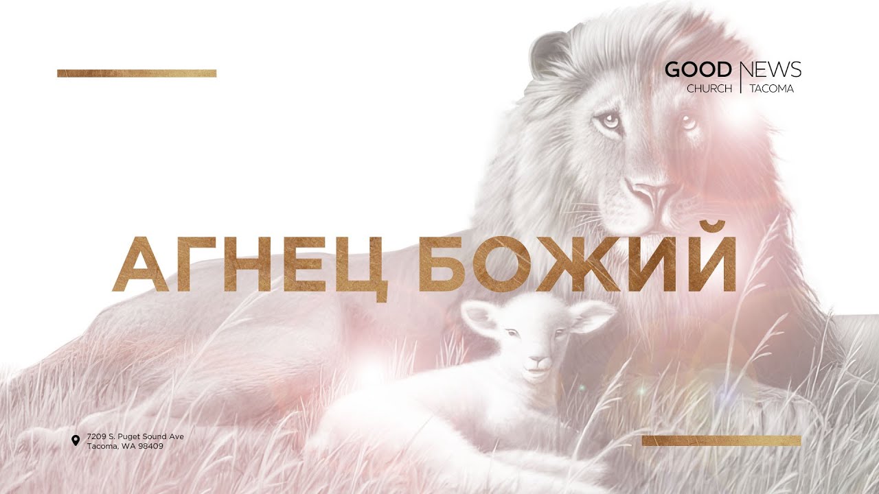 иисус христос с агнцем. агнец божий. фонограмма песни голгофа. христос агнец божий. песня агнец божий.