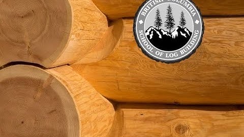 Log Cabin tutorial: develop your chainsaw.skills #logbuilding #chainsawskills #logcabin #bclogschool