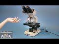 Unintentional ASMR 🔬 Microscope Product Presentation &amp; Setup (Asian Accent, Soft Spoken, Unboxing)