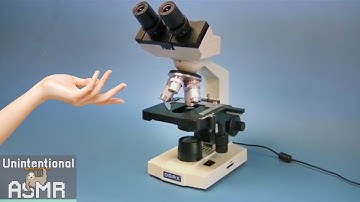 Unintentional ASMR 🔬 Microscope Product Presentation & Setup (Asian Accent, Soft Spoken, Unboxing)