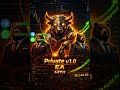 Private v1.0 EA MT4 &amp; MT5 Automated Forex Robot FREE DOWNLOAD الاكسبرت الأكثر ربحا في الفوركس