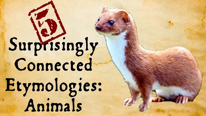 Animals: Surprisingly Connected Etymologies - DayDayNews