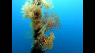 spirografi al jamper