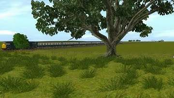 An example of speed tree in 2010