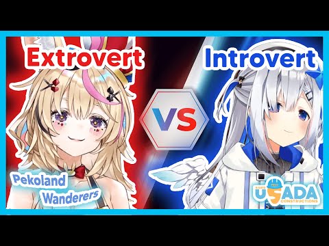 Video: Extrovertní Introvert