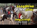 Horse Ride with Fayes🐎 || HORSE RIDERS  VILLAGE In Kerala|| HORSE RIDING (Kuthira Savari)