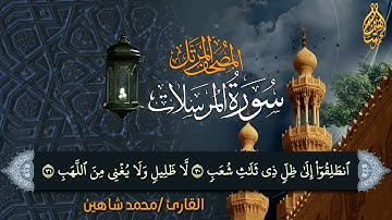 سورة المرسلات للقارئ محمد شاهين
