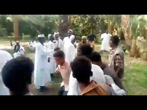 هاشم محجوب انا زولي ماجاء حفلة اشيشي